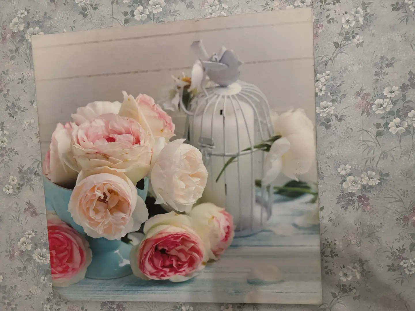 Tableau En Toile Cage À Oiseaux Et Fleurs – 1