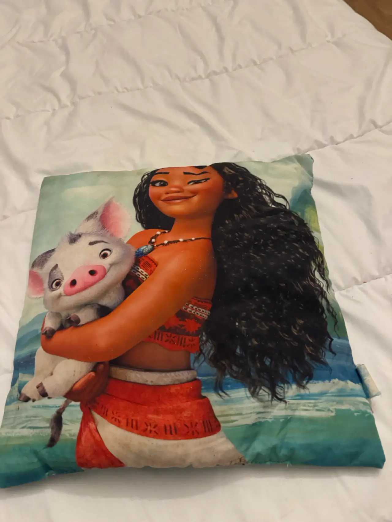 Coussin Vaianna – 1