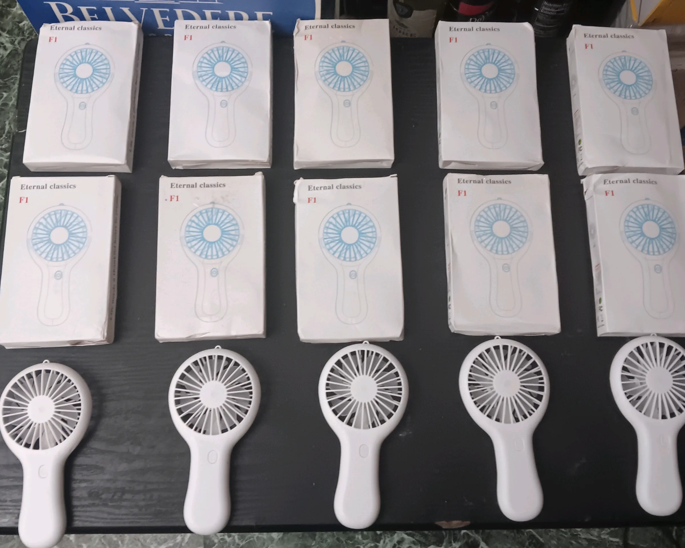 ETERNAL CLASSIC F1 HAND FANS (EACH)