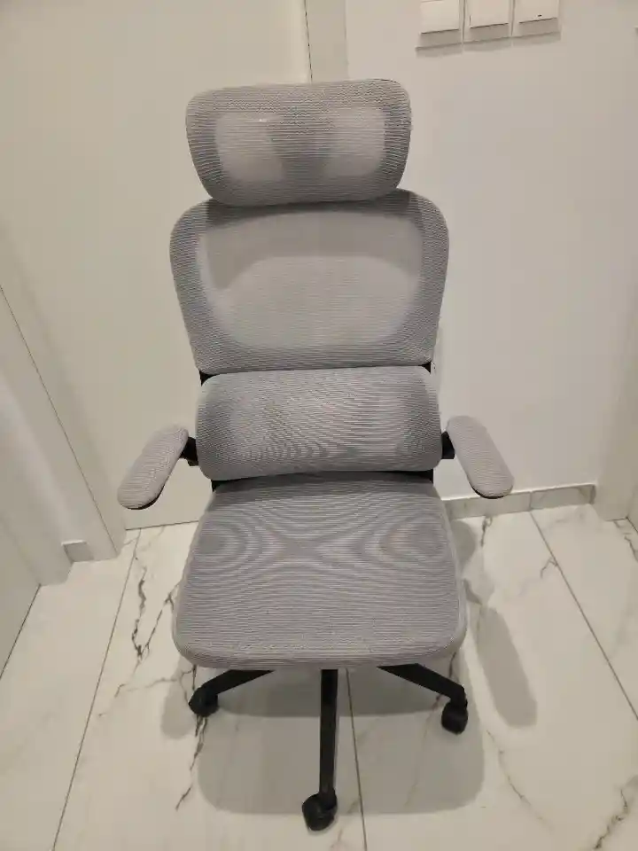 Ergonomic Computer Chair (4 months old)