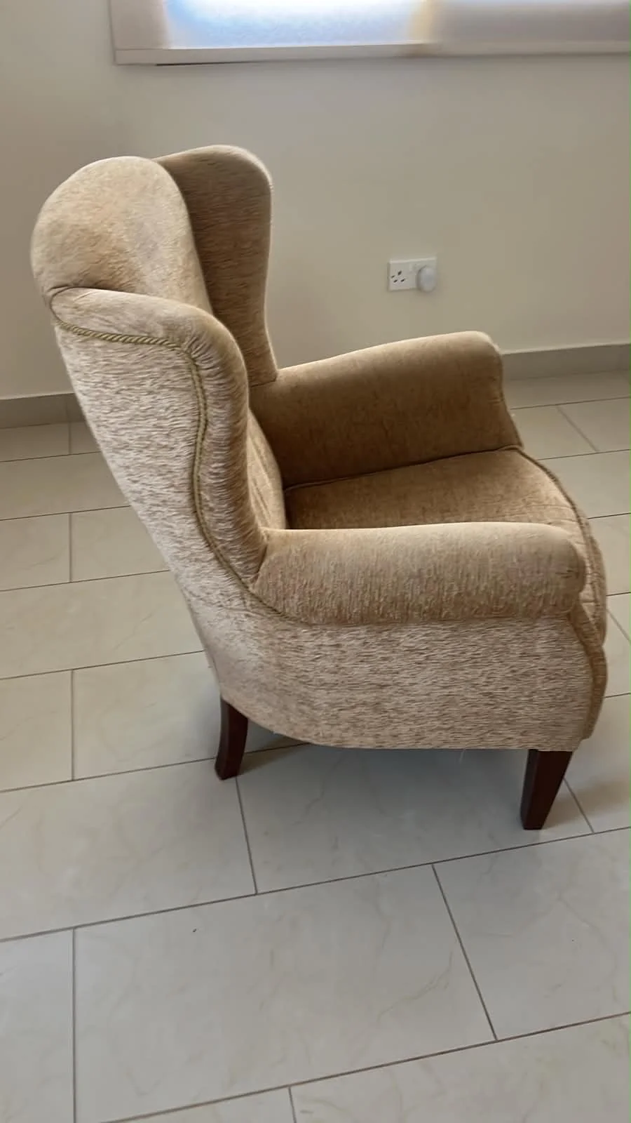 Winged Velour Armchair – 2